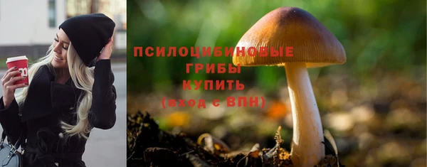 тгк Богородск