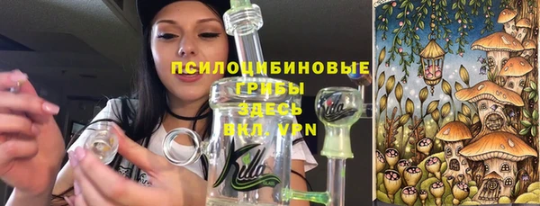 ГАЛЛЮЦИНОГЕННЫЕ ГРИБЫ Краснотурьинск
