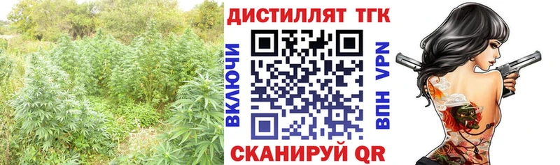 где купить наркотик  Гулькевичи  Дистиллят ТГК гашишное масло 